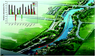 Graphical abstract: Occurrence and attenuation of pharmaceuticals and their transformation products in rivers impacted by sewage treatment plants