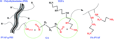 Graphical abstract: Synthesis of chelating polyamine fibers and their adsorption properties for nickel(ii) ions from aqueous solution