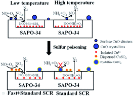 Graphical abstract: Migration, reactivity, and sulfur tolerance of copper species in SAPO-34 zeolite toward NOx reduction with ammonia
