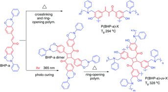 Graphical abstract: Photo-sensitive benzoxazine II: chalcone-containing benzoxazine and its photo and thermal-cured thermoset