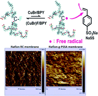 Graphical abstract: Preparation of poly(styrenesulfonic acid) grafted Nafion with a Nafion-initiated atom transfer radical polymerization for proton exchange membranes