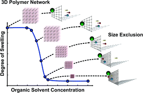 Graphical abstract: Chemically controlled micro-pores and nano-filters for separation tasks in 2D and 3D microfluidic systems