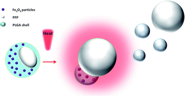 Graphical abstract: Thermal-sensitive magnetic nanoparticles for dual-modal tumor imaging and therapy