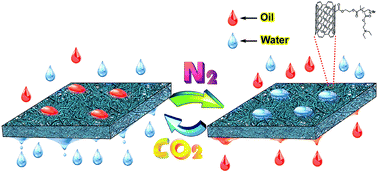 Graphical abstract: Gas-switchable carbon nanotube/polymer hybrid membrane for separation of oil-in-water emulsions