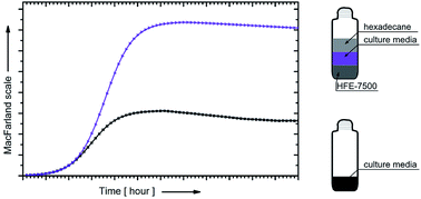 Graphical abstract: Enhancement of bacterial growth with the help of immiscible oxygenated oils