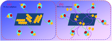 Graphical abstract: Variable self-assembly and in situ host–guest reaction of beta-cyclodextrin-modified graphene oxide composite Langmuir films with azobenzene compounds