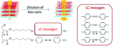 Graphical abstract: Photo-induced orientation behaviors of azobenzene liquid crystal copolymers for photonic crystals