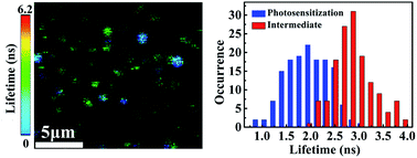 Graphical abstract: Probing the inhomogeneity and intermediates in the photosensitized degradation of rhodamine B by Ag3PO4 nanoparticles from an ensemble to a single molecule approach