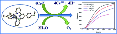 Graphical abstract: Synthesis, crystal structure and water oxidation activity of [Ru(terpy)(bipy)Cl]+ complexes: influence of ancillary ligands on O2 generation