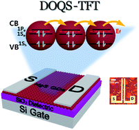 Graphical abstract: High electron mobility of β-HgS colloidal quantum dots with doubly occupied quantum states