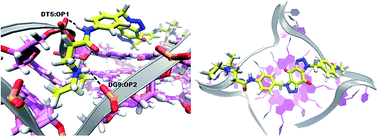 Graphical abstract: Development of a series of bis-triazoles as G-quadruplex ligands