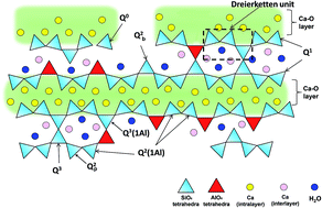 Graphical abstract: Effects of CO2 and temperature on the structure and chemistry of C–(A–)S–H investigated by Raman spectroscopy