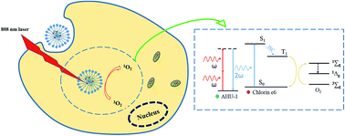 Graphical abstract: In situ second-harmonic generation mediated photodynamic therapy by micelles co-encapsulating coordination nanoparticle and photosensitizer