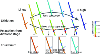 Graphical abstract: Modeling of phase separation across interconnected electrode particles in lithium-ion batteries