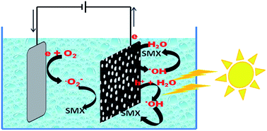 Graphical abstract: Photoelectrocatalytic water treatment systems: degradation, kinetics and intermediate products studies of sulfamethoxazole on a TiO2–exfoliated graphite electrode
