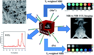 Graphical abstract: Core@shell Fe3O4@Mn2+-doped NaYF4:Yb/Tm nanoparticles for triple-modality T1/T2-weighted MRI and NIR-to-NIR upconversion luminescence imaging agents