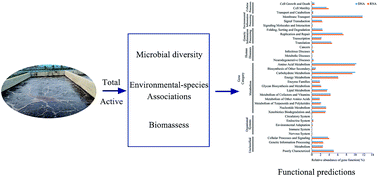 Graphical abstract: Unravelling diversity and metabolic potential of microbial consortia at each stage of leather sewage treatment