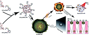Graphical abstract: NIR light-triggered shrinkable thermoresponsive PNVCL nanoshells for cancer theranostics