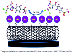 Graphical abstract: A screen printed carbon electrode modified with carbon nanotubes and gold nanoparticles as a sensitive electrochemical sensor for determination of thiamphenicol residue in milk