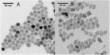 Graphical abstract: Optimized PAMAM coated magnetic nanoparticles for simultaneous hyperthermic treatment and contrast enhanced MRI diagnosis