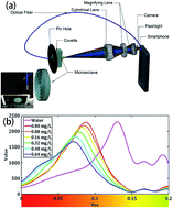 Graphical abstract: Microaxicave colour analysis system for fluoride concentration using a smartphone