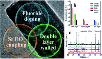 Graphical abstract: Fluoride doped SrTiO3/TiO2 nanotube arrays with a double layer walled structure for enhanced photocatalytic properties and bioactivity