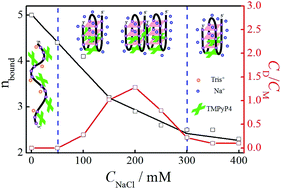 Graphical abstract: Sedimentation velocity analysis of TMPyP4-induced dimer formation of human telomeric G-quadruplex