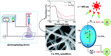 Graphical abstract: Electrospinning Cu–TiO2 nanofibers used for photocatalytic disinfection of bacteriophage f2: preparation, optimization and characterization