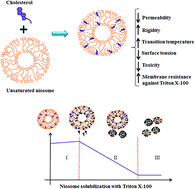 Graphical abstract: Changes in physical and chemical properties of niosome membrane induced by cholesterol: a promising approach for niosome bilayer intervention