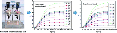 Graphical abstract: Extraction kinetics of mixed rare earth elements with bifunctional ionic liquid using a constant interfacial area cell