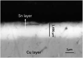 Graphical abstract: The influence of Bacillus subtilis on tin-coated copper in an aqueous environment