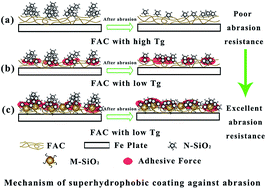 Graphical abstract: Study on the anti-abrasion resistance of superhydrophobic coatings based on fluorine-containing acrylates with different Tg and SiO2