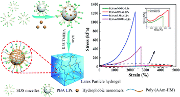 Graphical abstract: The effect of hydrophobic alkyl chain length on the mechanical properties of latex particle hydrogels