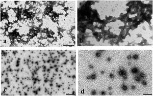 Graphical abstract: Synthesis and characterization of calcium-induced peanut protein isolate nanoparticles