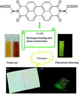 Graphical abstract: The study of perylene diimide–amino acid derivatives for the fluorescence detection of anions