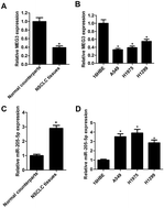 Graphical abstract: Long non-coding RNA MEG3 regulates proliferation and apoptosis in non-small cell lung cancer via the miR-205-5p/LRP1 pathway