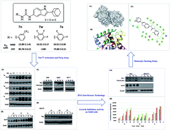 Graphical abstract: Synthesis and biological evaluation of 1-(2-(adamantane-1-yl)-1H-indol-5-yl)-3-substituted urea/thiourea derivatives as anticancer agents