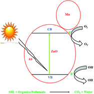 Graphical abstract: Phenol and Cr(vi) degradation with Mn ion doped ZnO under visible light photocatalysis