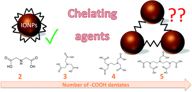 Graphical abstract: Chelating agents as coating molecules for iron oxide nanoparticles