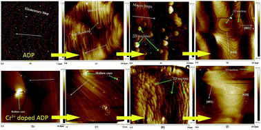 Graphical abstract: Prismatic morphology of an ADP crystal grown in a defined crystallographic direction