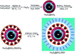 Graphical abstract: Nano-Fe3O4@SiO2-supported boron sulfonic acid as a novel magnetically heterogeneous catalyst for the synthesis of pyrano coumarins