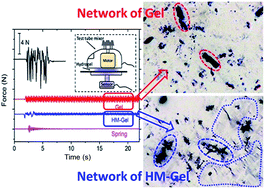 Graphical abstract: A high modulus hydrogel obtained from hydrogen bond reconstruction and its application in vibration damper