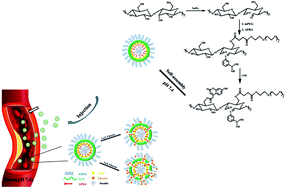 Graphical abstract: Novel amphiphilic glucose-responsive modified starch micelles for insulin delivery