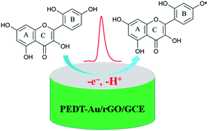 Graphical abstract: A highly sensitive morin sensor based on PEDT–Au/rGO nanocomposites modified glassy carbon electrode