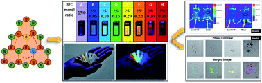 Graphical abstract: Tunable luminescence from two dimensional BCNO nanophosphor for high-contrast cellular imaging
