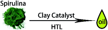 Graphical abstract: Hydrothermal liquefaction of high protein microalgae via clay material catalysts