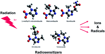 Graphical abstract: Nitroimidazolic radiosensitizers investigated by electrospray ionization time-of-flight mass spectrometry and density functional theory