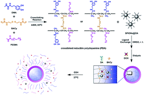 Graphical abstract: SPIONs/DOX loaded polymer nanoparticles for MRI detection and efficient cell targeting drug delivery