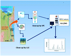 Graphical abstract: Simultaneous determination of selected veterinary antibiotics in Nile tilapia (Orechromis niloticus) and water samples by HPLC/UV and LC-MS/MS