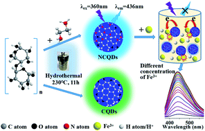Graphical abstract: Hydrothermal synthesis of nitrogen-doped carbon quantum dots from microcrystalline cellulose for the detection of Fe3+ ions in an acidic environment